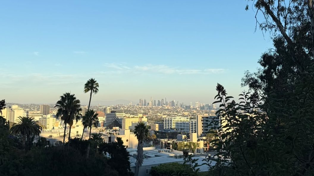 The view over Los Angeles from a hillside, the downtown towers small and hazy on the horizon behind low rooftops and palms