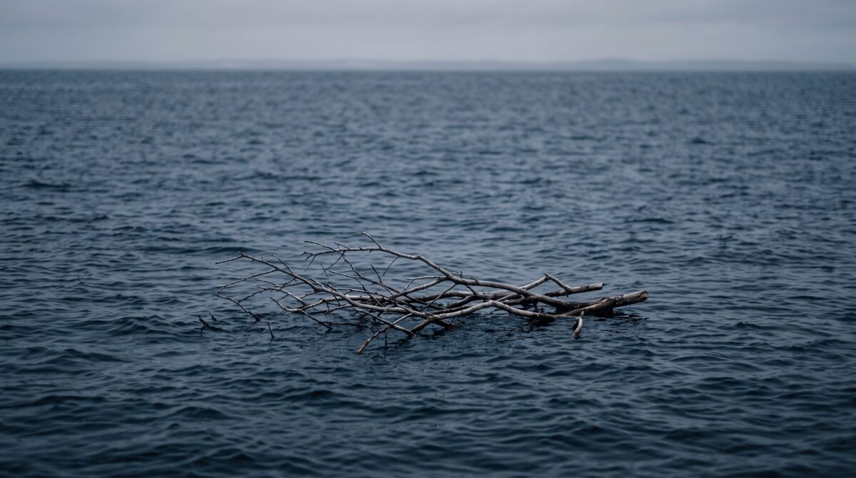 A few bare tree branches floating on cold open sea under flat grey light, which is what several hundred trained sailors saw as a raft covered with men waving for help.